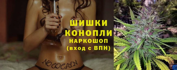 спиды Корсаков